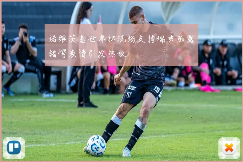 诺维茨基世界杯现场支持瑞典面露错愕表情引发热议